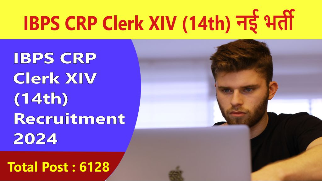 ibps crp clerk xiv recruitment 2024